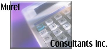 Welcome to Murel Consultants Inc.